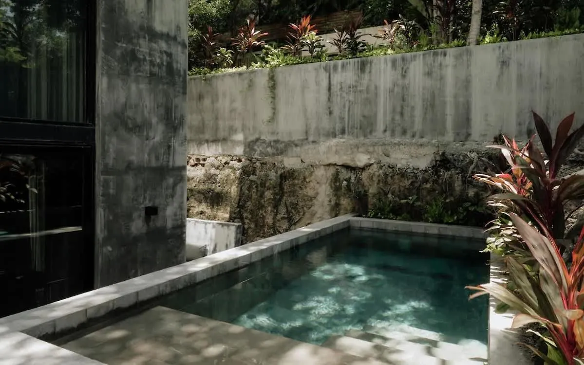 Apartment Barneys Ny Silver Residence With Pool Tulum